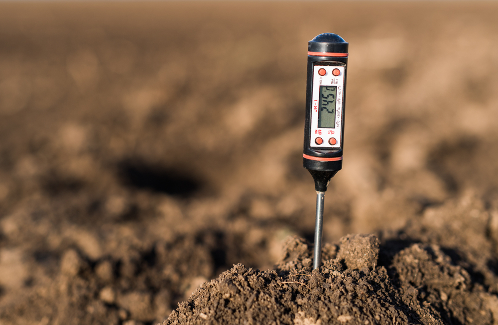 Soil meter sticking out of mound of dirt, displaying a measure PH, temperature and moisture on its screen.